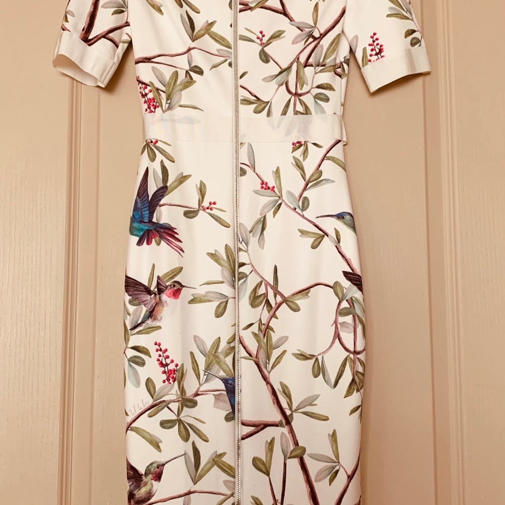 Ted Baker Evrely Highgrove Pencil Dress